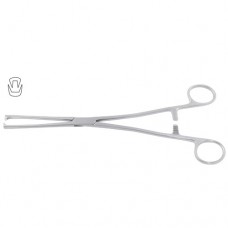 Museux Tenaculum Forcep 2 x2 Teeth Stainless Steel, 24 cm - 9 1/2" Jaw Size 7 mm